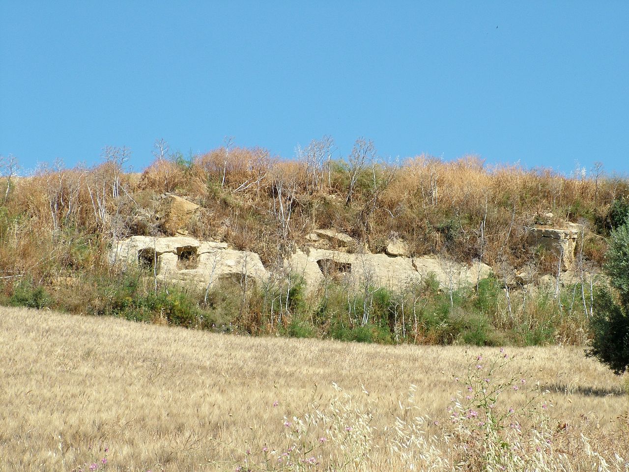 Area Archeologica a Caltanissetta