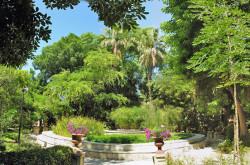 Area verde a Catania Orto Botanico