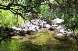 Area verde a Messina - Bosco di Malabotta