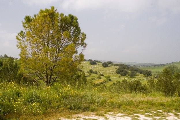 Area verde a Ragusa - Cava dei Servi