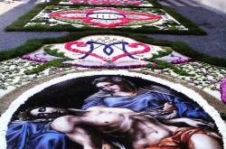 Comune della Sicilia - San Pier Niceto - Infiorata