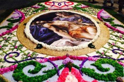 Comune della Sicilia - San Pier Niceto - Infiorata
